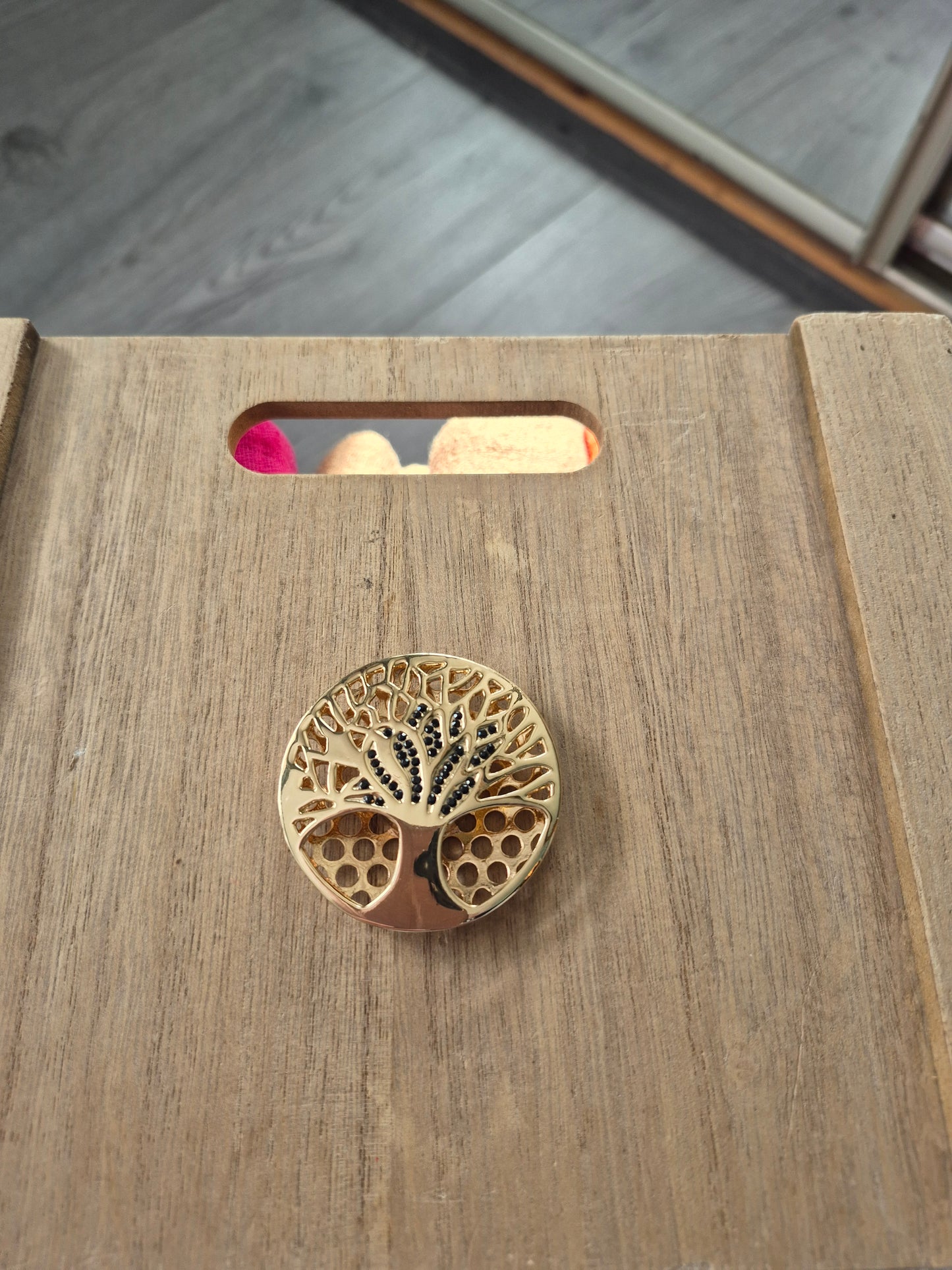 A magnetic Brooche
