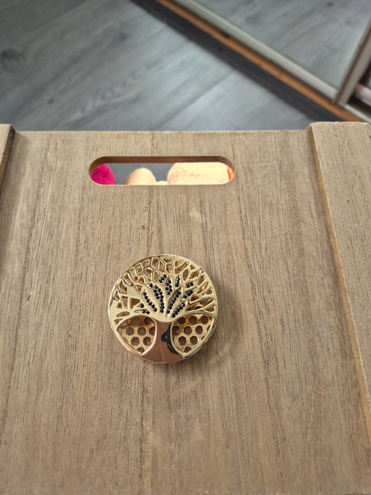 A magnetic Brooche