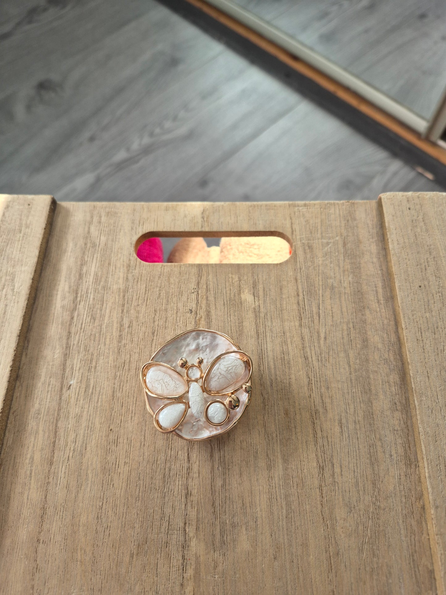 A magnetic Brooche